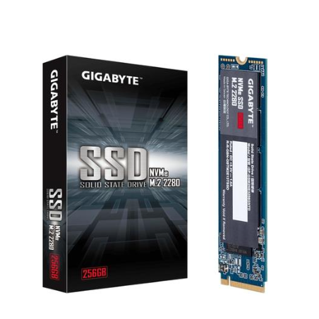 Gigabyte 256GB NVMe M.2 SSD